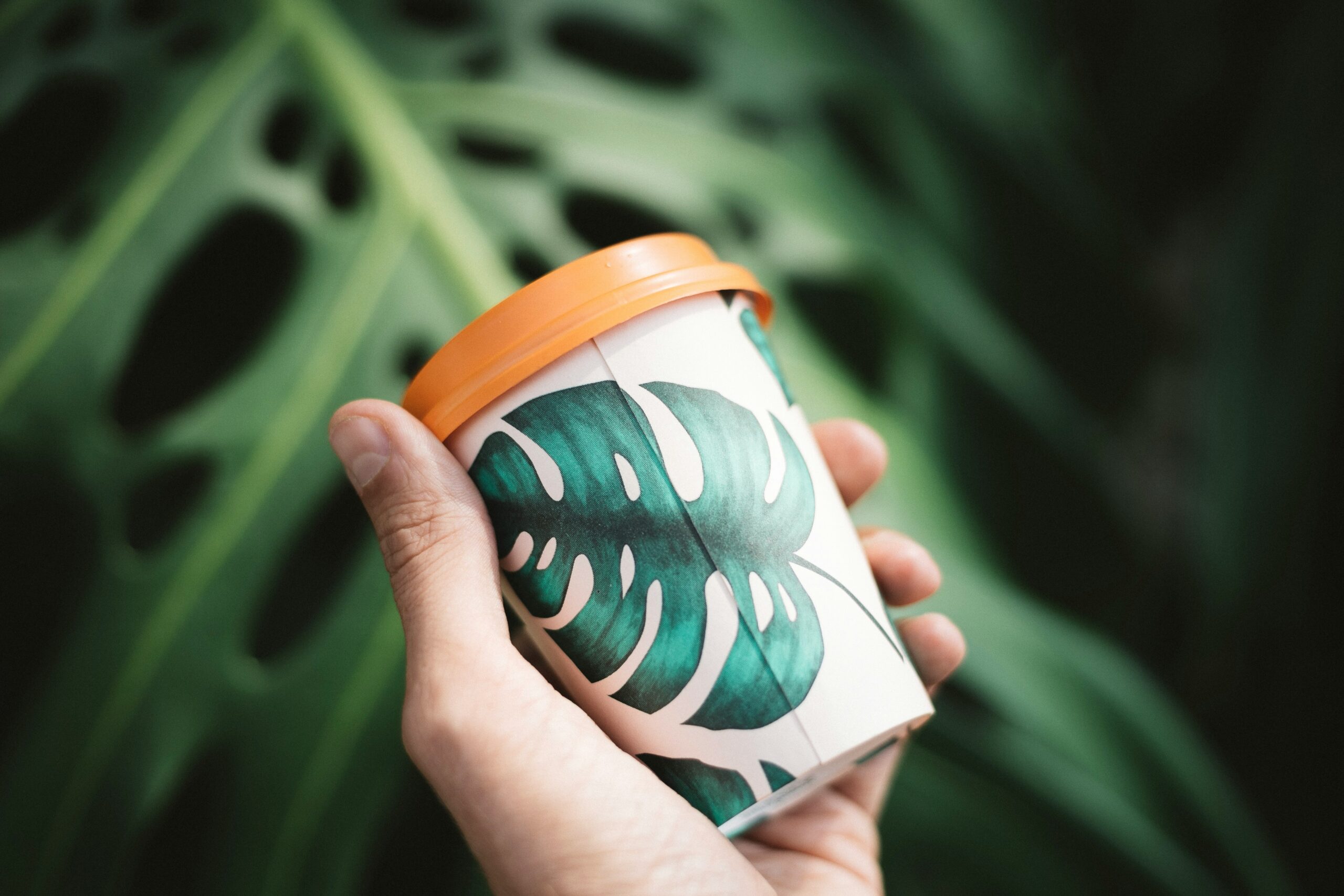 Biodegradable vs. Compostable: The Ultimate Guide to Sustainable Materials